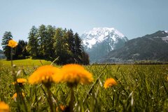 Wanderurlaub am Glitschnerhof