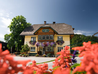 Blumen blühen rund um die Pension Glitschnerhof in der Region Schladming - Dachstein