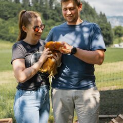 Hühner im Glitschnerhof