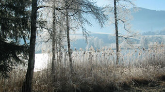 Winterlandschaft am Putterersee in der Region vom Glitchnerhof