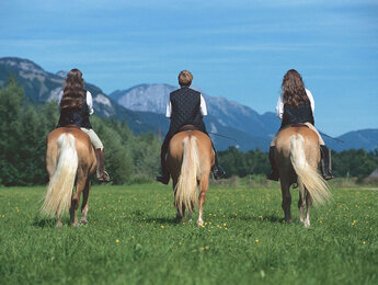 Reiten in der Steiermark