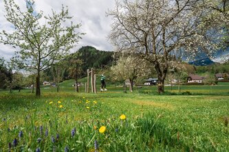 Slackline im Glitschnerhof