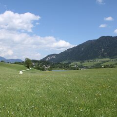 Landschaft rund um den Glitschnerhof