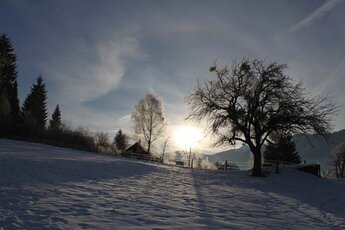 Winterlandschaft rund um den Glitschnerhof im Ennstal